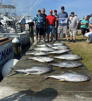 Yellowfin Tuna: Fisherman's Delight!